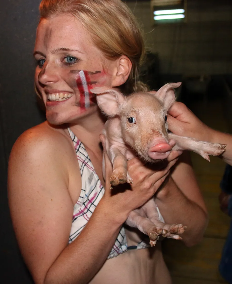 Schweinchen küssen — Glücksbrauch fürs Eheleben